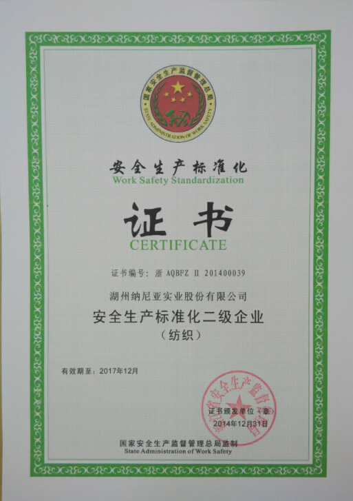 安全標(biāo)準(zhǔn)化二級(jí).jpg